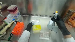 Cytotoxicity Assay [upl. by Joshua157]