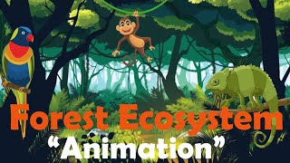 FOREST ECOSYSTEM  Biology Animation [upl. by Luckett]