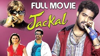 Jackal Full English Dubbed Movie HD  NTR  Hansika  Sunil  Kantri Telugu Movie [upl. by Imorej]