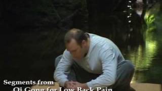 Qi Gong for Low Back Pain with Lee Holden [upl. by Quita]