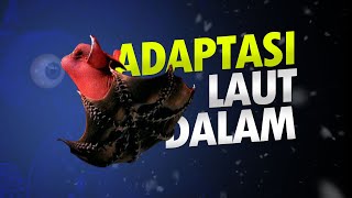 Adaptasi Makhluk Laut Dalam AlamSemenit [upl. by Romine209]