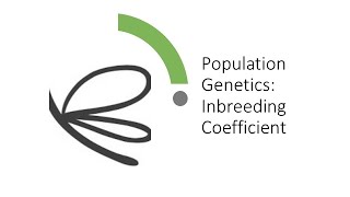 Population Genetics Inbreeding Coefficient [upl. by Wiebmer826]