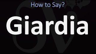 How to Pronounce Giardia CORRECTLY [upl. by Asiole]