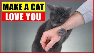 10 Scientific Ways to Get a Cat to Like You [upl. by Kirbee]