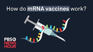 How do mRNA COVID19 vaccines work [upl. by Ddene]