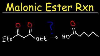 Malonic Ester Synthesis Reaction Mechanism [upl. by Eyr286]