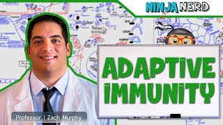 Immunology  Adaptive Immunity [upl. by Orpheus780]