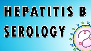 Hepatitis B Serology [upl. by Ydissahc900]