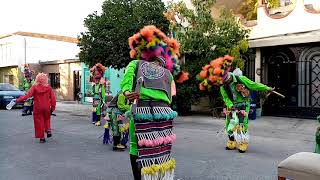 Matlachines danza la promesa ApodacaNuevo LeónMexico [upl. by Kcirdahc]