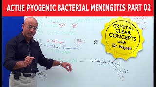 Acute Pyogenic Bacterial Meningitis Part 3 🩺 [upl. by Blackburn242]