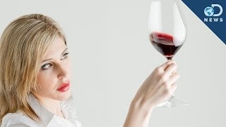 The Truth About Red Wines Health Benefits [upl. by Zumwalt]