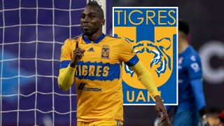 Los 12 Goles de Julián Quiñones con Tigres [upl. by Tobe]