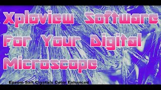 Xploview Software for your Digital Microscope [upl. by Ainav219]