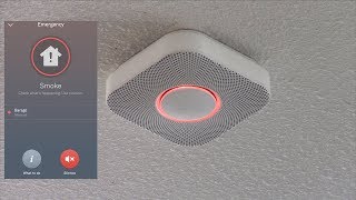 Testing the Nest Protect Smoke Alarm with Fire [upl. by Myrah]