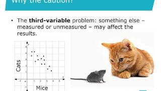 9 Quantitative data analysis [upl. by Arola480]