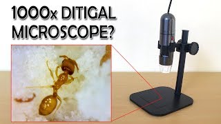 1000x Digital Microscope Review  Sample images  Gearbest [upl. by Anawqahs]