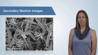 Introduction to the Scanning Electron Microscope SEM [upl. by Ytnom]