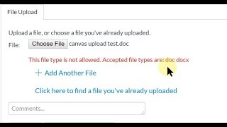 Canvas File Submission Format Error  Possible Fix [upl. by Anelac760]