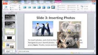 How to Create a Multimedia PowerPoint Presentation [upl. by Iztim]