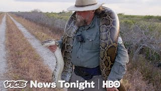 The Bounty Hunters Catching Pythons In Florida HBO [upl. by Nitsur]