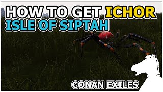 How to get Ichor  Isle of Siptah  CONAN EXILES [upl. by Zephaniah]