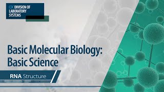 Basic Molecular Biology Basic Science – RNA Structure [upl. by Cecelia94]