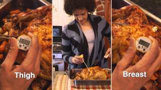 How to Use a Food Thermometer [upl. by Settera]