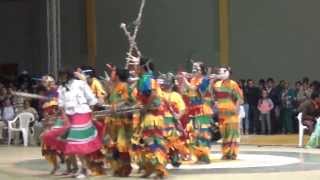 Danza Los Matachines del Tolima Sesquilé Cundinamarca 2012 [upl. by Assira]