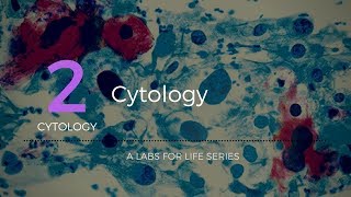 Cytology [upl. by Akerley212]