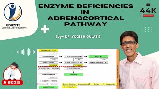 Understanding your Neuroendocrine Cancer Diagnosis [upl. by Polad989]