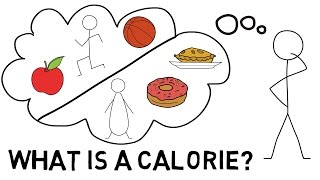 What Is a Calorie [upl. by Eeznyl214]