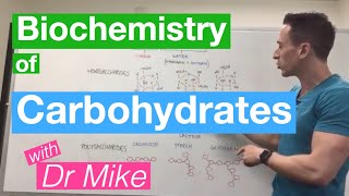 Carbohydrates  Biochemistry [upl. by Kira651]