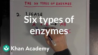 Six types of enzymes  Chemical Processes  MCAT  Khan Academy [upl. by Navets]