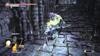 Dark Souls 3  Finding the Giant Crystal Lizard Farron Keep [upl. by Karla]