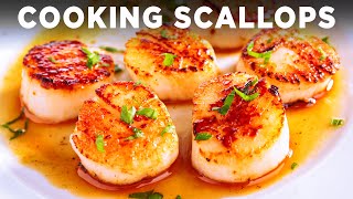 Live Scallops [upl. by Attenaej14]