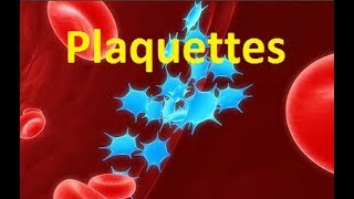 Plaquettes sanguines thrombocytes [upl. by Idnor]