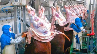 Amazing Workers Beef Meat Cutting  Inside The Meat Processing Plant [upl. by Jerome]