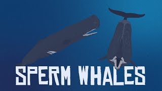 10 Interesting Facts About Sperm Whales [upl. by Yesnik]