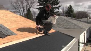 How To Install Shingles 2 Getting Started [upl. by Ayikaz]