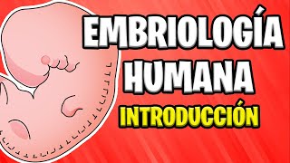 ✅ INTRODUCCIÓN A LA EMBRIOLOGÍA HUMANA  Conceptos Básicos 📚 [upl. by Anialeh]