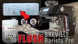 How to Flush Breville Barista Pro  Sage Barista Pro  ASMR  kape atbp [upl. by Cammy]