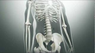 Ankylosing Spondylitis Symptoms [upl. by Anirbed]