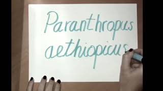 Paranthropus Aethiopicus [upl. by Adivad]