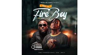 Best Of Fireboy Mp3 Mix 2020 [upl. by Ayalat]