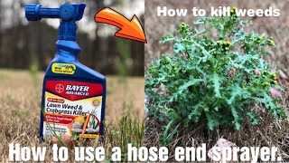 How to use a hose end sprayer and how to kill weeds [upl. by Lulu]