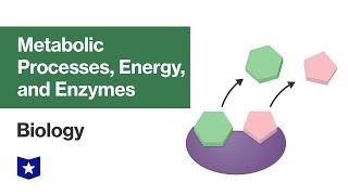 Metabolic Processes Energy and Enzymes  Biology [upl. by Uird]