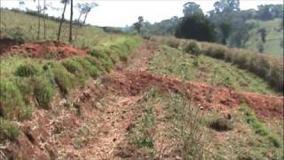 Vetiver System Vetiver Grass  Water and Soil Conservation [upl. by Twedy]