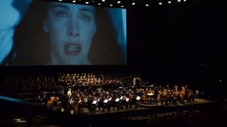 The Lord of the Rings in Concert  Evenstar  LIVE [upl. by Hteb701]