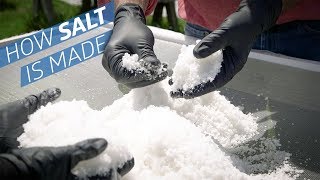 Where Does Salt Come From — How to Make It [upl. by Irtimed]