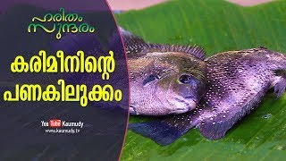 Huge profit from Pearlspot Karimeen farming  Haritham Sundharam  EP 188 [upl. by Orv]